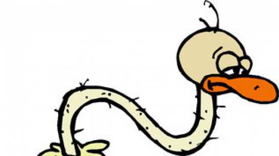 Top 5 Signs Your Brand Is A Lame Duck