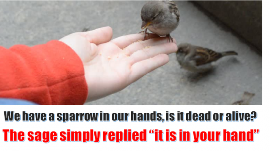 What your social feed tells about you!